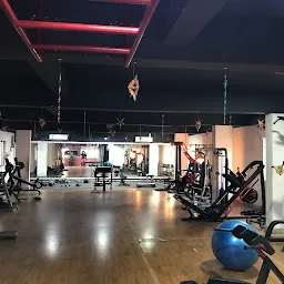 Aesthetic nation Williams gym-Best gym in suchitra