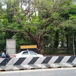 Agra bus stop