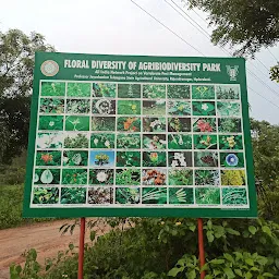 Agri Biodiversity Park
