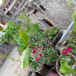 Ahmad Botanical Nursery