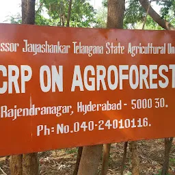 AICRP On Agroforestry
