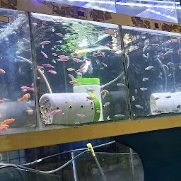 Akkaras Aquarium