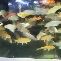 Akkaras Aquarium