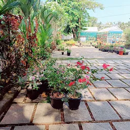 Akkulam Swimming Pool