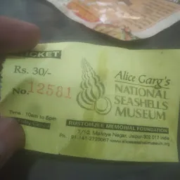 Alice Garg National Seashell Museum Jaipur