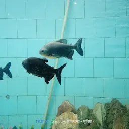 Alipore Zoo Aquarium
