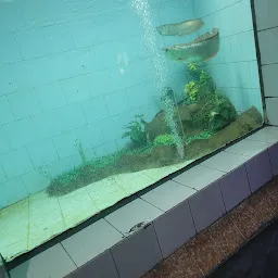 Alipore Zoo Aquarium
