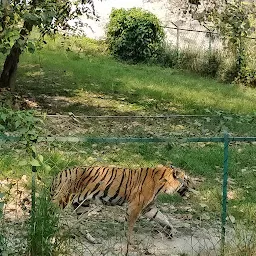 Alipur zoo