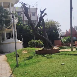 Alkapuri Kids Park