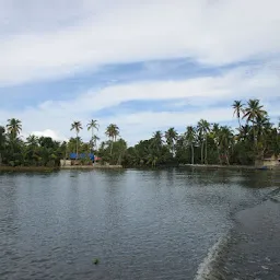 Alleppey Houseboats I Best Houseboat Services I Alleppey Houseboats