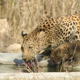 Amagarh Safari Park