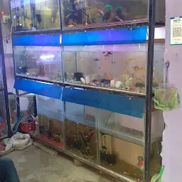 Aman Aquarium