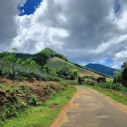 Ambanad Tea Estate