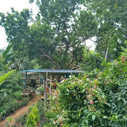 Amudha Nursery Garden