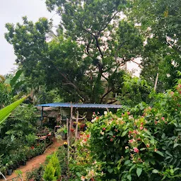 Amudha Nursery Garden