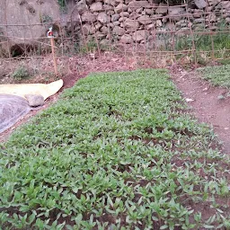 Anaar Valley Garden - Garden - Kullu - Himachal Pradesh 