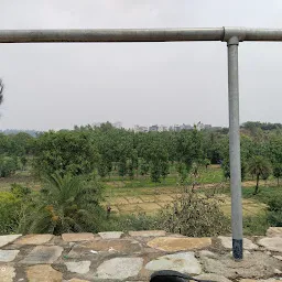 Anangpur Dam