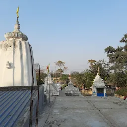 Ananta Basudeva Temple