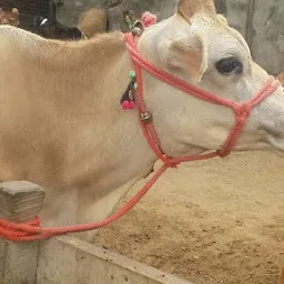 ANANYA DAIRY FARM