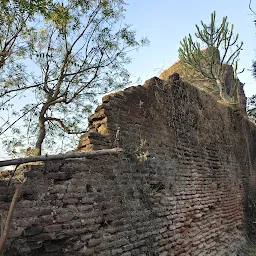 Angadh Fort Vadodara