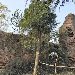 Angadh Fort Vadodara