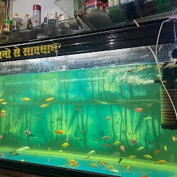 Angel Fish Aquarium and Pet shop