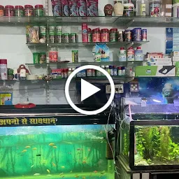 Angel Fish Aquarium and Pet shop