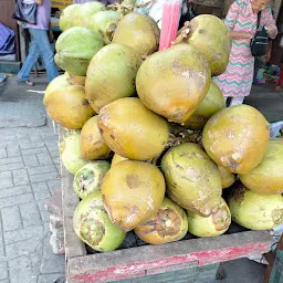 Anikul Nariyal Pani (Coconut water) Aam Fruits Shop Delivery