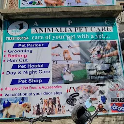Animalia Pet care veterinary hospital- A complete pet care companion