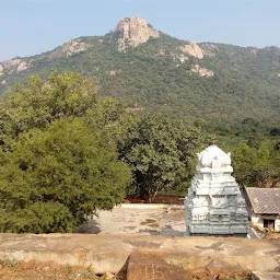 Shri Anjaneya Swami Temple