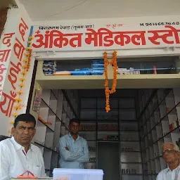 Ankit Medical Store . Sikar