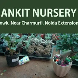 Ankit Nursery