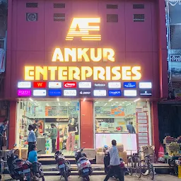 Ankur Enterprises