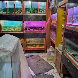 Annai Aquarium