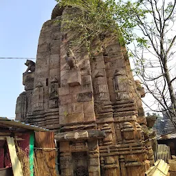 Ananta Basudev Temple