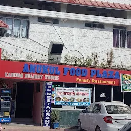 Anukul Food Plaza