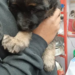 Anupam Pets Shop - Pet shop in Varanasi | Pet shop for dog | Dog kennel dealer in varanasi