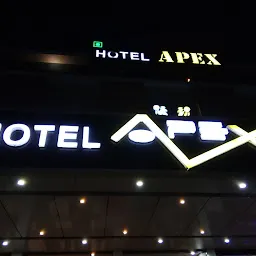 APEX HOTEL KHEDA