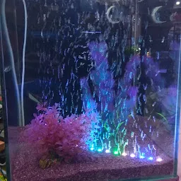 Aqua Art Aquarium