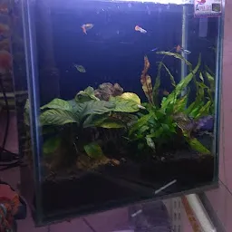 Aqua Art Aquarium