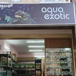 Aqua Exoticaa Fishes