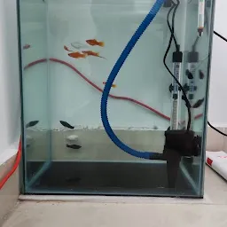 Aqua Fish Aquarium