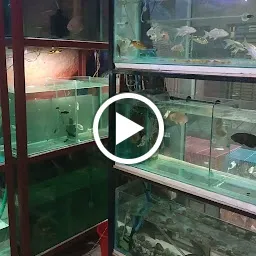 Aqua fish world and pet shop