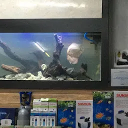 Aqua Interior (aquarium shop)