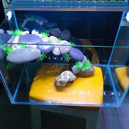 Aqua Life Aquarium