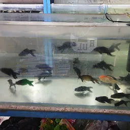 Aqua Pet shop