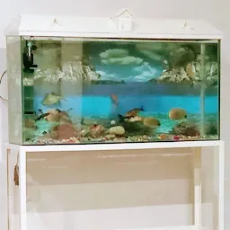 Aqua Queeen - Fish Aquarium
