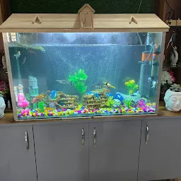 Aqua Queeen - Fish Aquarium