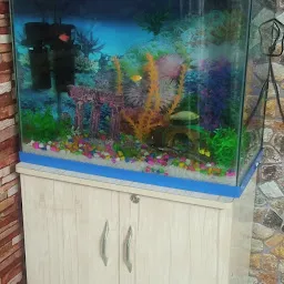 Aqua QUEEN FISH Aquarium Shop