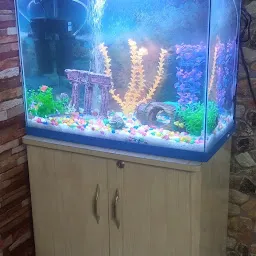 Aqua QUEEN FISH Aquarium Shop
